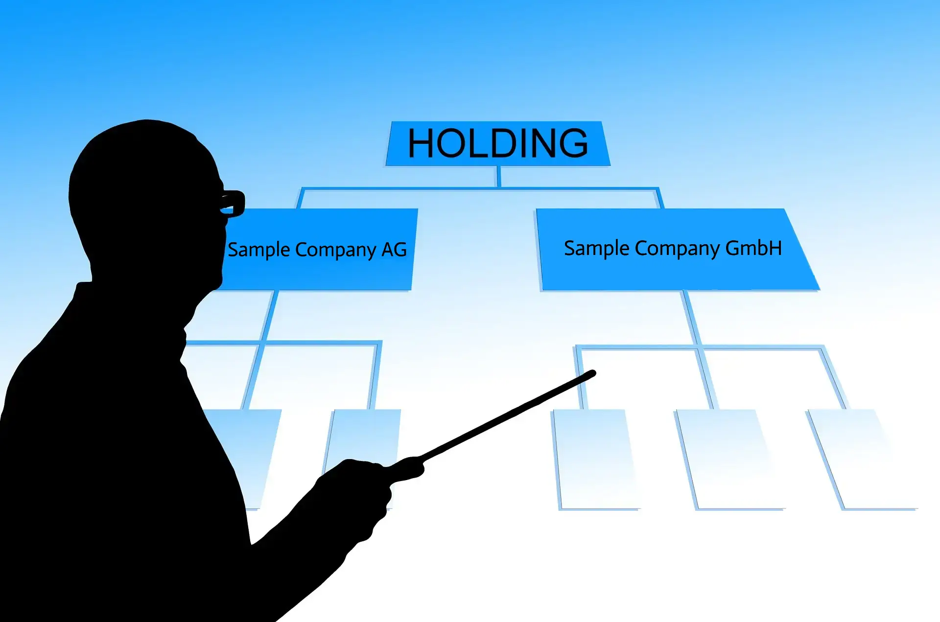 Holding Struktur